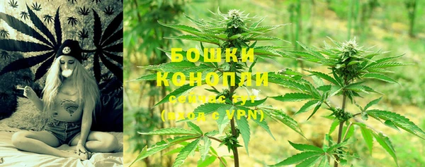прущие грибы Богородск