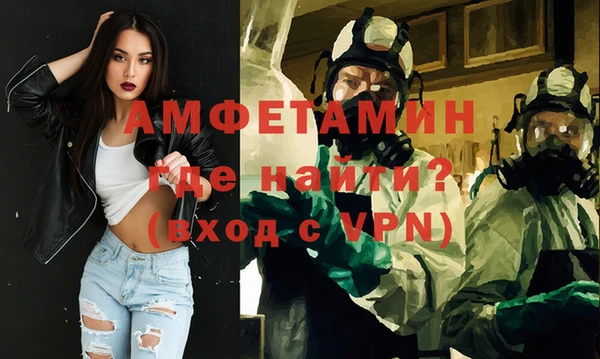 индика Беломорск