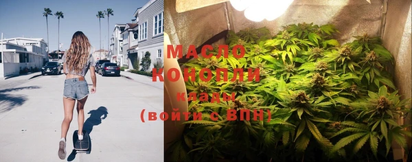 индика Беломорск