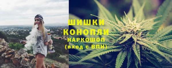 индика Беломорск