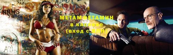 индика Беломорск